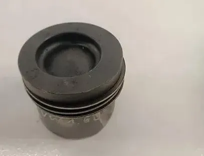 VOLKSWAGEN Variant VII TDI (2014-2024) Поршень 79l121 25559008