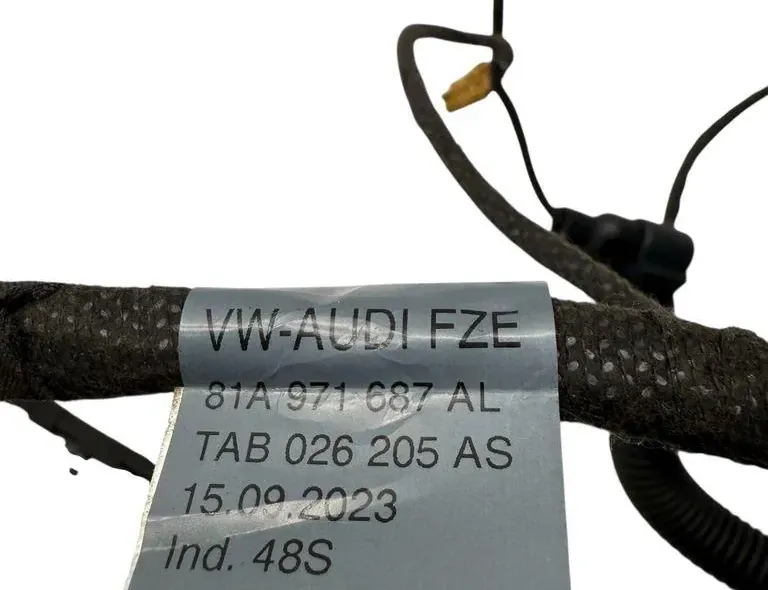 AUDI Q2 1 generation (2016-2024) Zadné pravé dvere kabeláž 81A971687AL,TAB026205AS,15092023 34145406