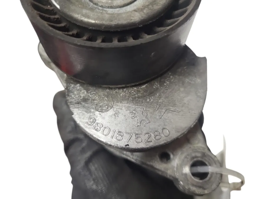 CITROËN C4 Picasso 1 generation (2006-2013) Napínač remeňa 9801875280 28826510