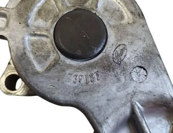 PEUGEOT 508 1 generation (2010-2020) Napínač remeňa T39187 31515496