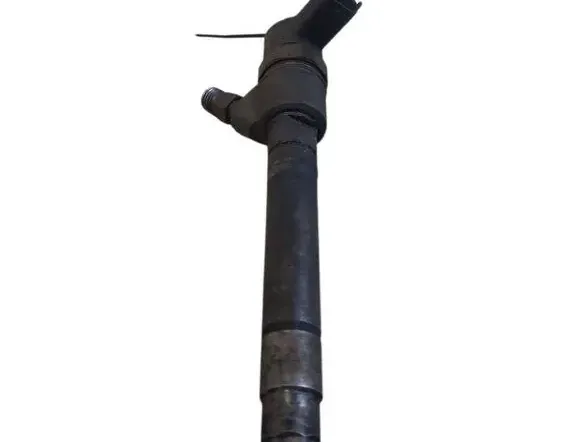 VOLVO V70 3 generation (2007-2020) Форсунка 0445110298 33351223