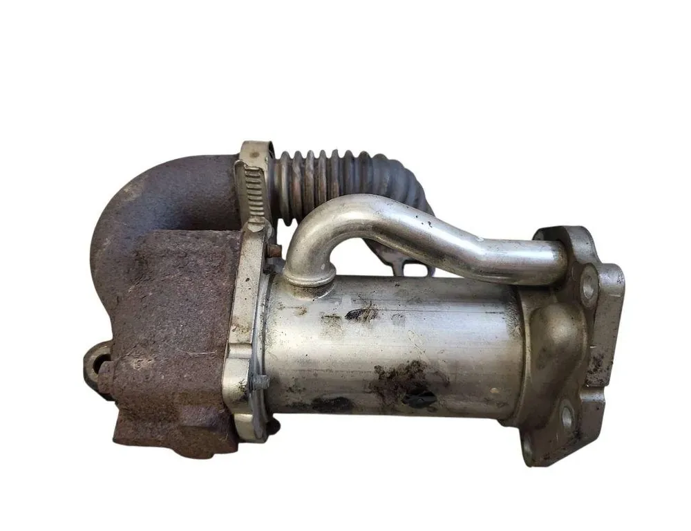 NISSAN Qashqai 1 generation (2007-2014) Chladič EGR 8200729078 33576846