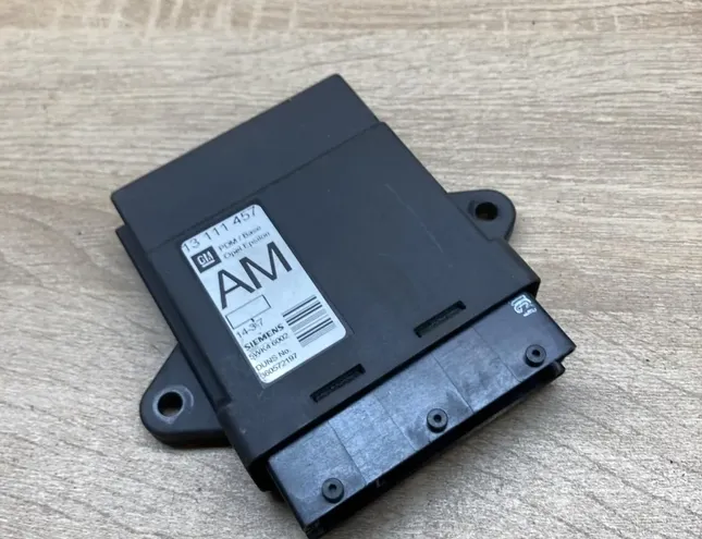 OPEL Vectra C (2002-2005) Rear Left Door Control Unit 13111457 34282043