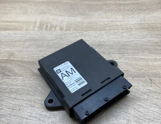 OPEL Vectra C (2002-2005) Rear Left Door Control Unit 13111457 34282591