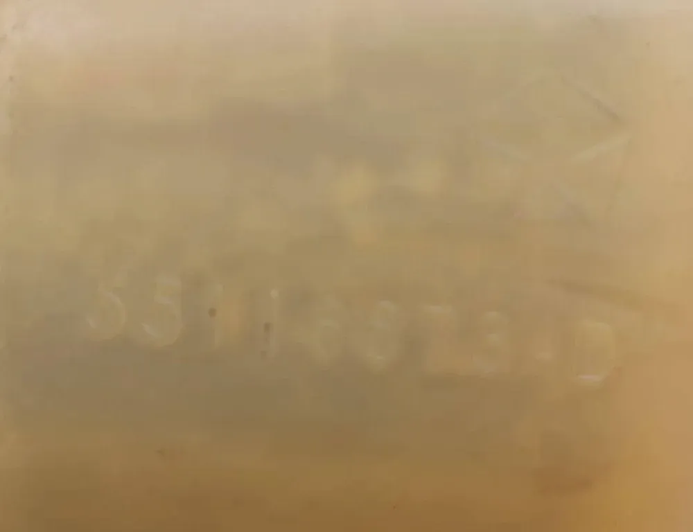 JEEP Grand Cherokee 4 generation (WK) (2004-2024) Expansion Tank 55116873AD 31188008