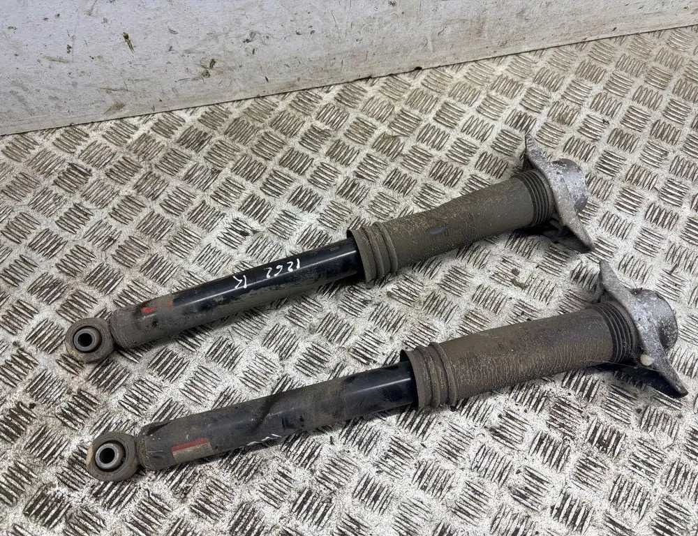 NISSAN Qashqai 2 generation (2013-2023) Rear Right Shock Absorber 562106UA1B 33502458