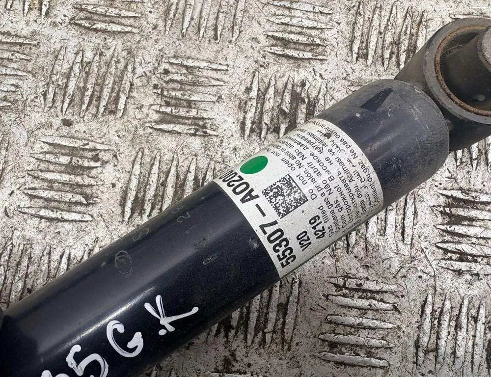 KIA Niro Rear Left Shock Absorber 33609080