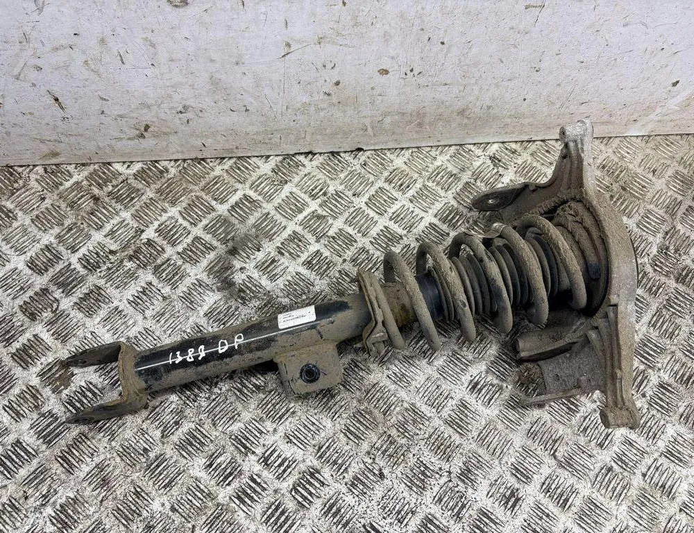 TESLA Model 3 1 generation (2017-2024) Front Right Shock Absorber 104436900G 33609662