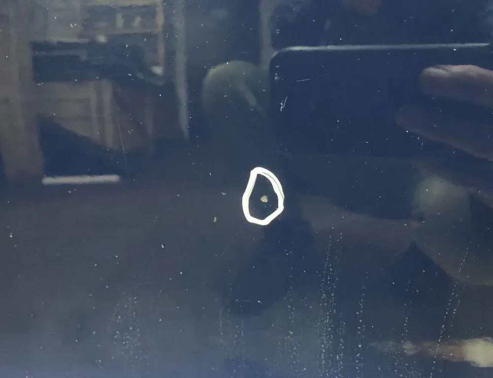 FORD S-Max 1 generation (2006-2015) Front Right Door 33556344