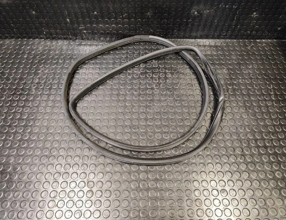 NISSAN Murano Z51 (2008-2015) Rear door sealing rubber (on the body) 33173196