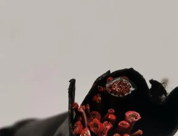 MERCEDES-BENZ GLC X253 (2015-2024) Poistková skrinka A2225403150 33186087