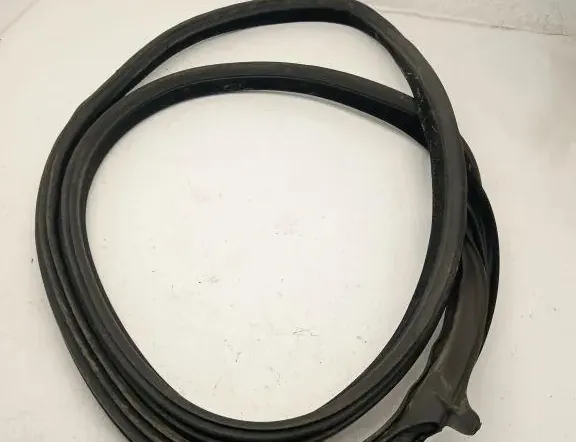 BMW 7 Series E65/E66 (2001-2008) Tesniaca guma zadných dverí (na karosérii) 7275316 33193970