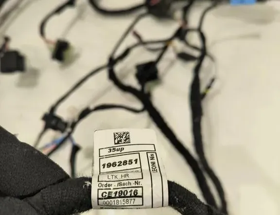 BMW M8 F91/F92/F93 (2019-2023) Дверные кабели задние левые 1962851 33205786