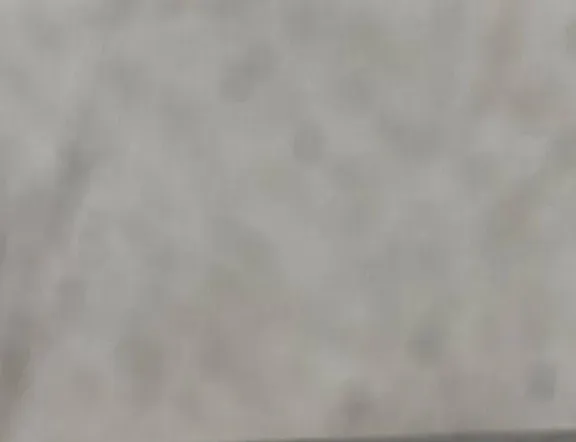 BENTLEY Continental Шланги охлаждающей жидкости 971819350H 33208384