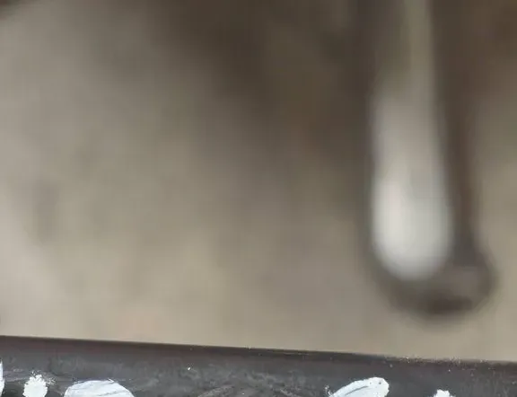 BMW X5 G05/G18 (2018-2024) Rear Left Arm 18145911,6878019 34138425