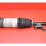TESLA Model S 1 generation (2012-2024) Rear Left Shock Absorber 1066461-00-C 32046952