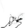 BMW X5 E70 (2006-2013) Rear Right Door Wiring 7184662,9243553,6971823,6925548 23046501