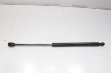 FORD USA Mustang Mach-E 1 generation (2020-2024) Predný ľavý kapotový vzperač LJ8B-R16C827-AB 33027492