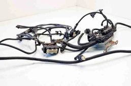 BMW 7 Series F01/F02 (2008-2015) Káblový zväzok motora 12527591981,58650910,7629512 32619706