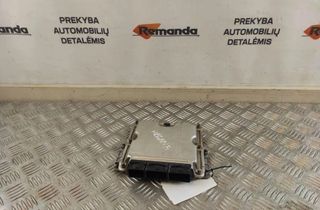 RENAULT Megane 1 generation (1995-2003) Блок управления двигателем 0281011030,8200153945 31579278