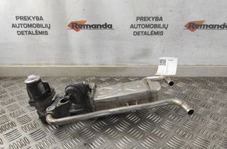 VOLKSWAGEN Polo 6 generation (2017-2024) Chladič EGR 03L131512BH 31611433