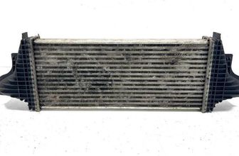 MERCEDES-BENZ M-Class W164 (2005-2011) Intercooler radiátor A2515000000,CACH1566 24733612