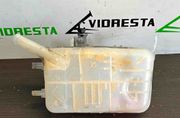 RENAULT Scenic 3 generation (2009-2015) Expanzná nádrž 217100005R 28579305