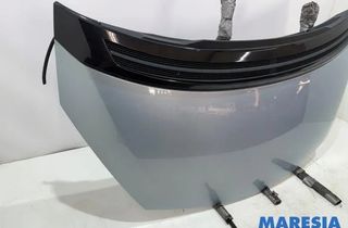 RENAULT Espace 4 generation (2002-2014) Kapota 29050090