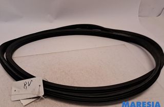 FIAT 500 2 generation (2008-2024) Резиновая прокладка передней правой двери 51829202,0051829202 33000641