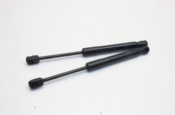 BMW 1 Series F20/F21 (2011-2020) Predný ľavý kapotový vzperač 7239233 28285419