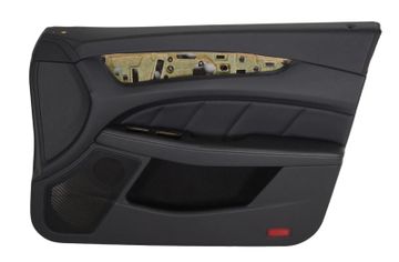 MERCEDES-BENZ CLS-Class C218/X218 (2011-2017) Pravý predný dverový panel 25139561