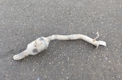 LEXUS RX 4 generation (2015-2024) Глушитель 17430-31F60 29971647