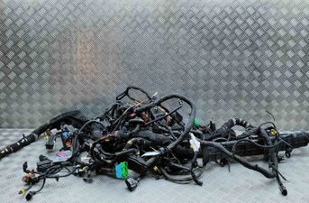 PORSCHE Panamera 971 (2016-2020) Káblový svazok 4H0907658A,971971445C 32380973