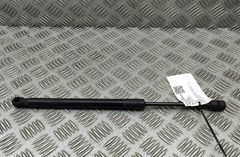 LAND ROVER Discovery 5 generation (2016-2024) Predný ľavý kapotový vzperač HY32-16C826-AB 32931556