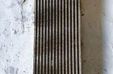 JEEP Grand Cherokee 4 generation (WK) (2004-2024) Intercooler radiátor 25530345