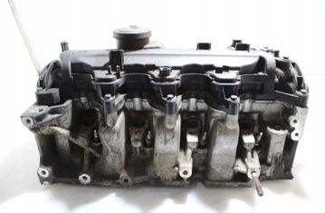 RENAULT Clio 3 generation (2005-2012) Hlava valcového motora (Slovak) 32895892