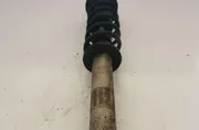 BMW 5 Series E60/E61 (2003-2010) Rear Right Shock Absorber 7905315 34171694