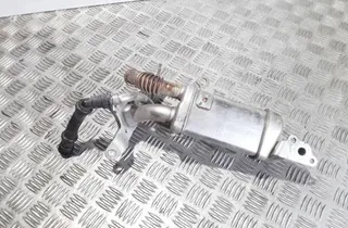 DACIA Dokker 1 generation (2012-2024) Chladič EGR 147357324R 33517037