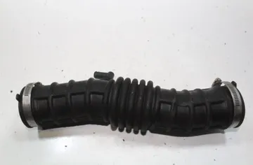 NISSAN Juke YF15 (2010-2020) Potrubie pre dodávku vzduchu 33524987