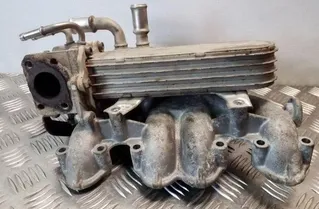 SEAT Leon 2 generation (2005-2012) Охладитель Eгр 038131513AD 25128992