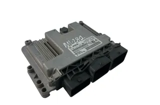 PEUGEOT 207 1 generation (2006-2009) Riadiaca jednotka motora 9677013180,9666729580,0281017333 33799019