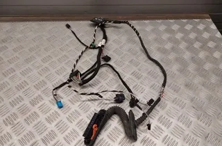VOLKSWAGEN Passat B7 (2010-2015) Rear Left Door Wiring 3C8971693EE 33435451