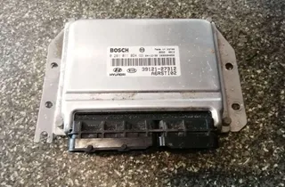 KIA Carens 2 generation (2002-2006) Блок управления двигателем 3912127312 33887189