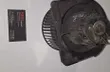 OPEL Vectra B (1995-1999) Ventilátor kúrenia P00653243 33695102