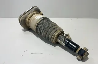 BMW X5 G05/G18 (2018-2024) Задний левый пневмо амортизатор 6869037,5B69E37 34516989