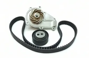 Chatenet Rozvodový remeň 2024 24496669