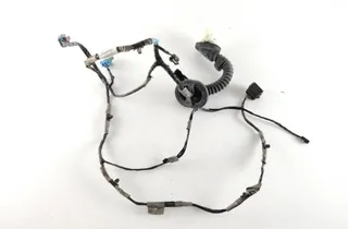 HUMMER H2 1 generation (2002-2009) Zadné pravé dvere kabeláž Z03484057 31923097