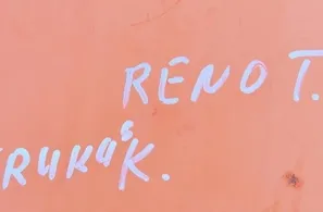 RENAULT TRUCKS T-Serie (2013-present) Door extension 50126327 29756209