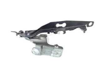 VOLVO XC60 1 generation (2008-2017) Ľavý predný pant kapoty 30779282 34152611