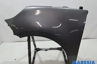 RENAULT Scenic 3 generation (2009-2015) Крыло переднее левое 631017581R,631018882R 33726851